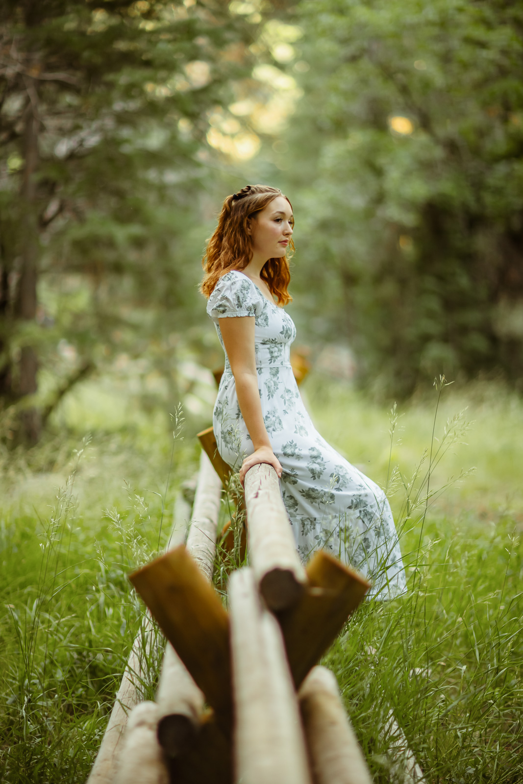 A young woman with wavy auburn hair stands beside a wooden split-rail fence, her hand resting on the rail as she gazes off to the side. She wears a floral-patterned light blue dress, surrounded by tall green grass and a softly blurred forest backdrop.
